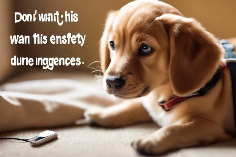Planning for Pet Safety during Emergencies